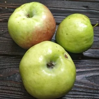 Яблоки сорт Мартовское (1 кг)