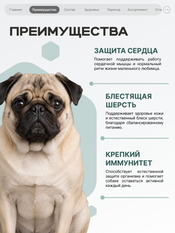Корм для собак мелких пород SF Cardio Guard, (дилатационная кардиомиопатия), 6 кг, QUATTRO