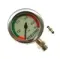 Манометр маталический Dive System 450 bar