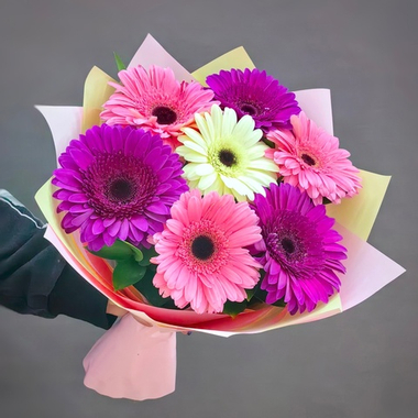 Букет из 7 гербер