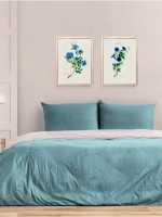 Постер настенный в багетной раме "Ботаника" 42*32 см