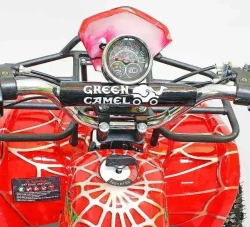 Электроквадроцикл Green Camel Гоби K21 (36V 800W R6 Цепной привод)