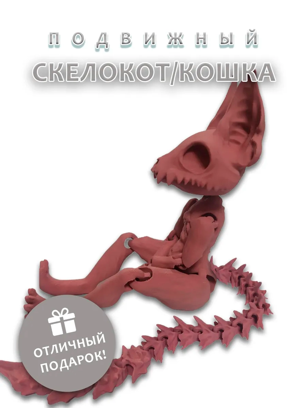 Скелет Кошки