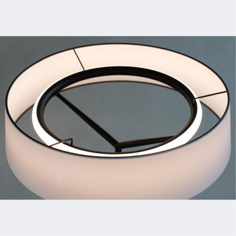 Настольная светодиодная лампа Divinare ALMA 1029/06 TL-11