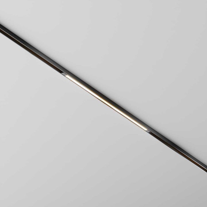 Трековый светильник Maytoni Technical EXILITY X Basis TR240-2-12W3K-B