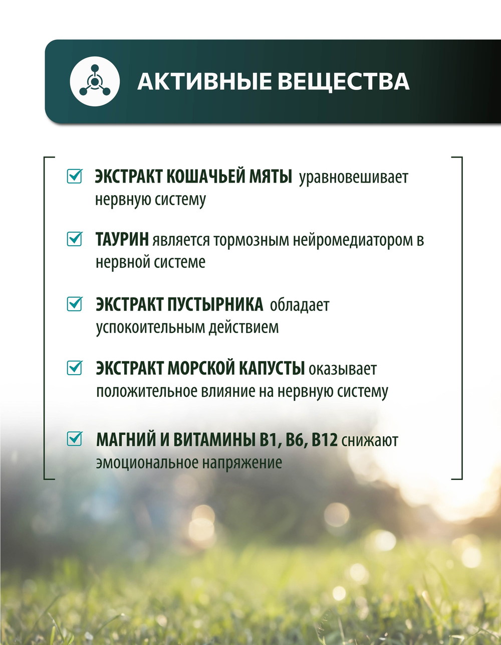 Vita+ мультивитаминное лакомство для кошек Антистресс кошачья мята, 90 таблеток