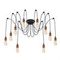 Подвесная люстра Loft IT Spider Loft1162A/10