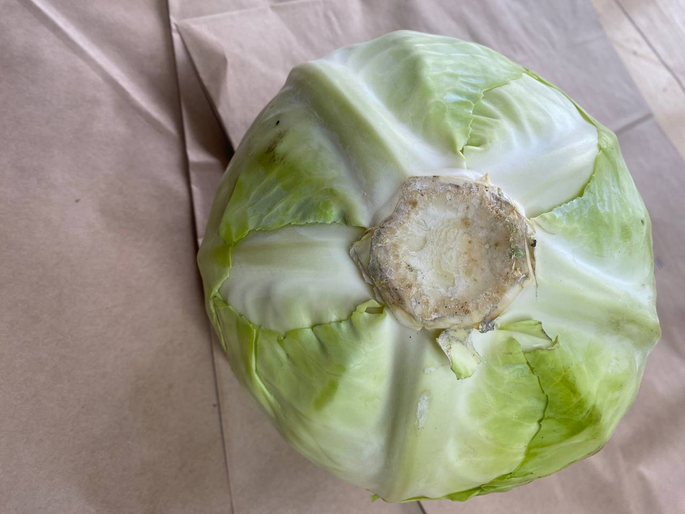 Капуста белокочанная в нарезке