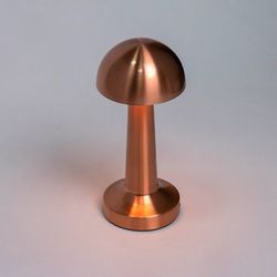 Настольная лампа декоративная Escada Evo 10257/L LED