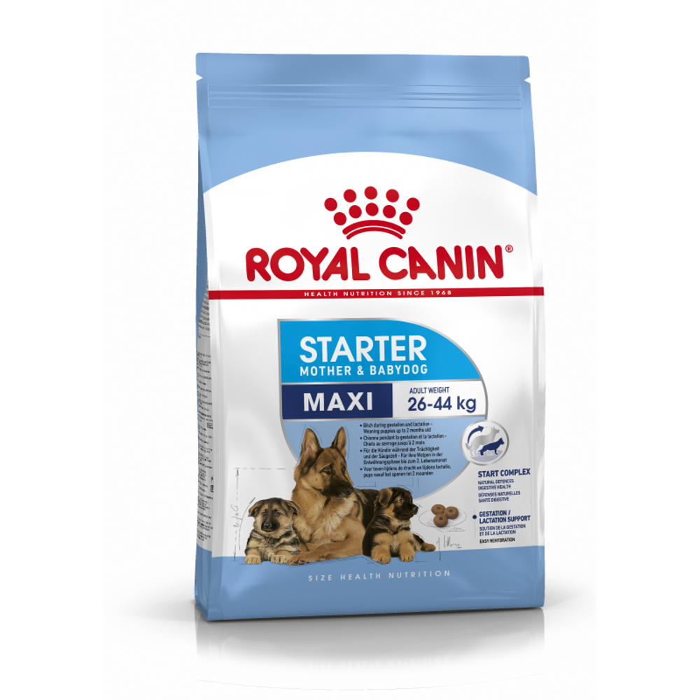 Royal Canin Maxi Starter Корм для щенков крупных размеров беременных и кормящих сук 15кг