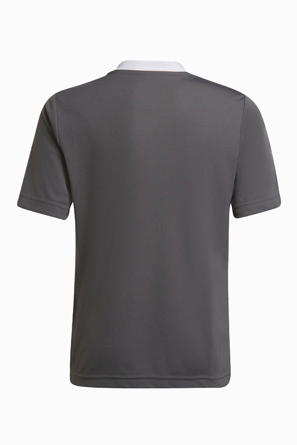 Футболка adidas Entrada 22