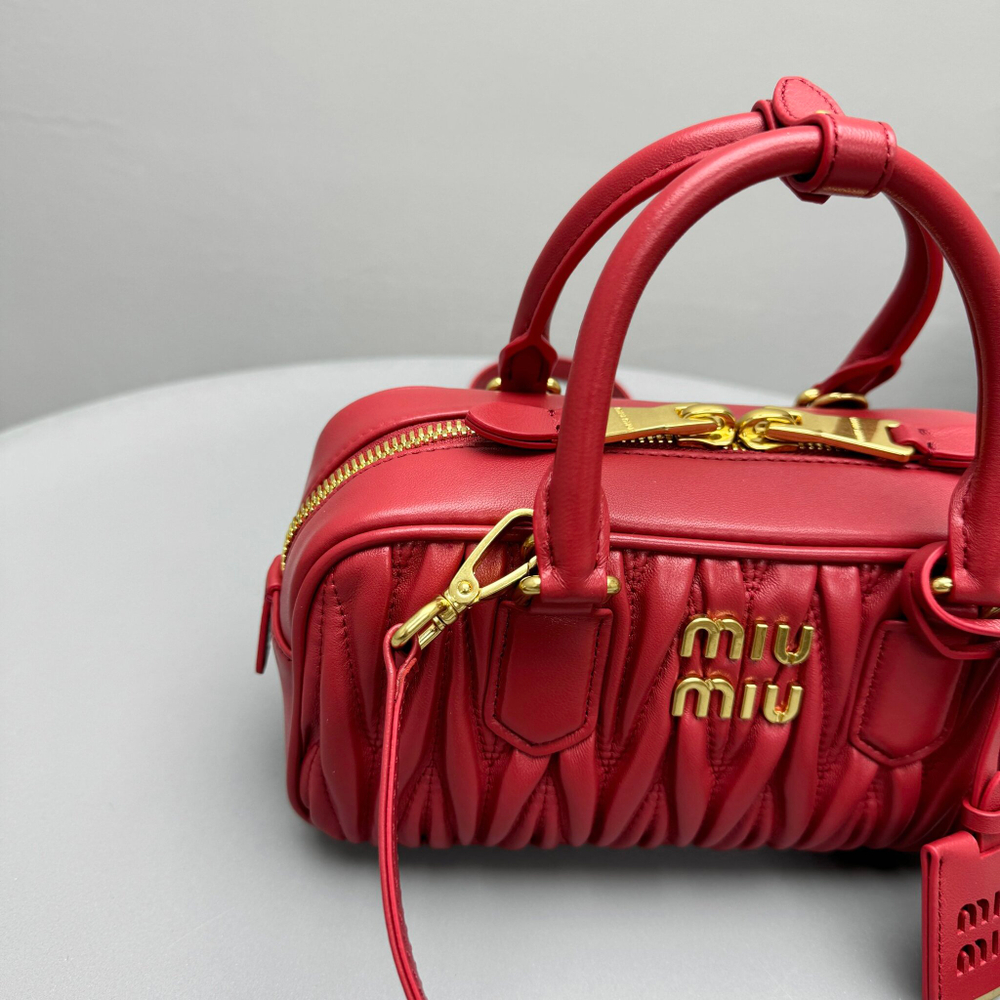 Miu Miu Arcadie Bag 22 cm