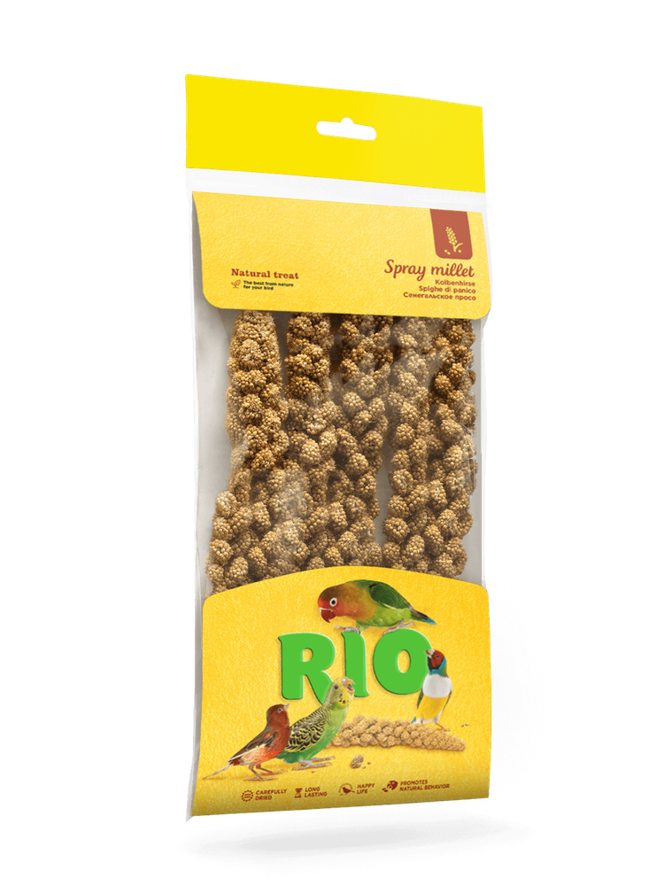 Rio сенегальское просо в колосьях