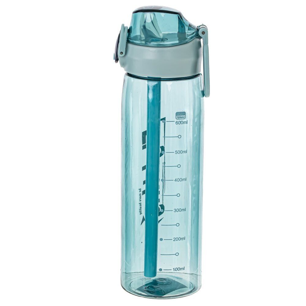 GAEM Бутылка, 650 мл, L8 W8 H25,5 см, 4в.