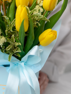 Немного солнца в холодной воде