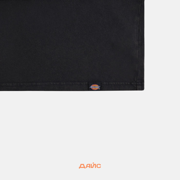 Лонгслив мужской Dickies Plentywood артикул:DK0A866CH861 - купить в магазине Дайс