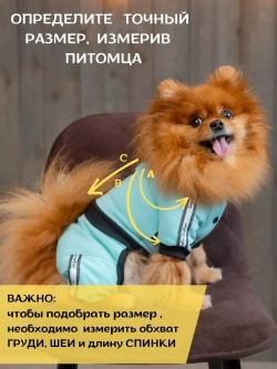 Спортивный комбинезон костюм для собак