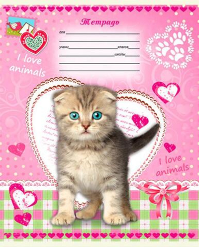 Тетрадь А5 12л. круп.клетка "Котята на фоне сердечек" (12-0181) (Проф-Пресс)