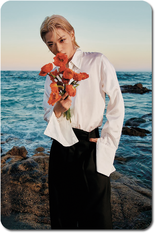 Карта / STRAY KIDS #0258