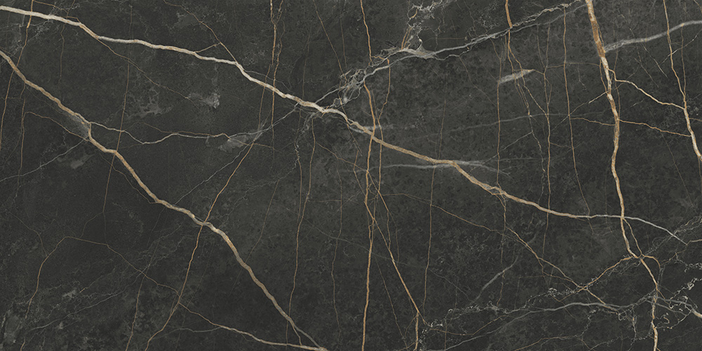 60x120 MarbleS Порт Лорен Лаппато R9