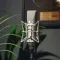 Neumann U 67 SET Nickel