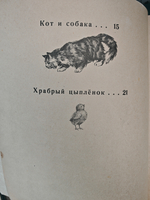 Кот и собака