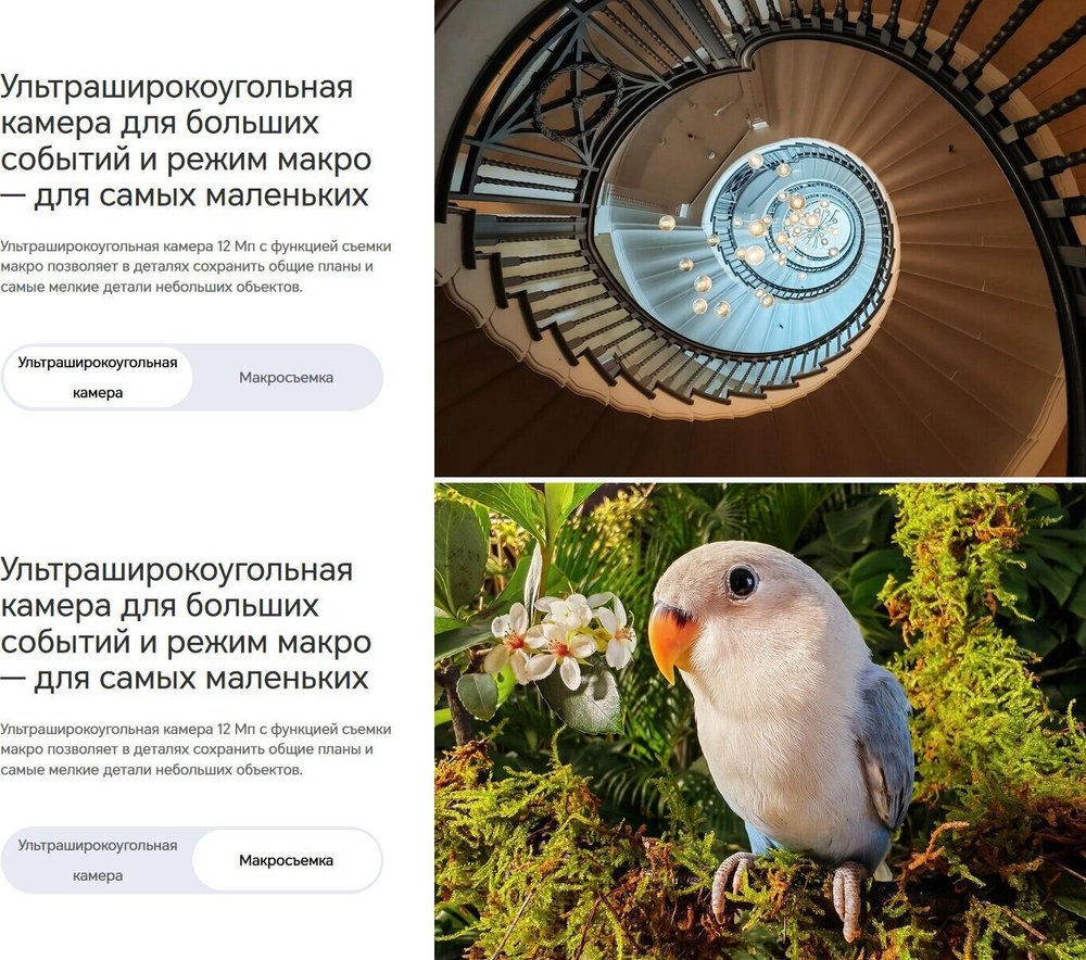 Смартфон HONOR 90 8/256 ГБ Global для РФ, Dual nano SIM, peacock blue