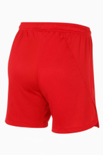 Шорты Nike Team Handball Court