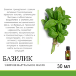 Эфирное масло базилика / Ocimum Basilicum Oil