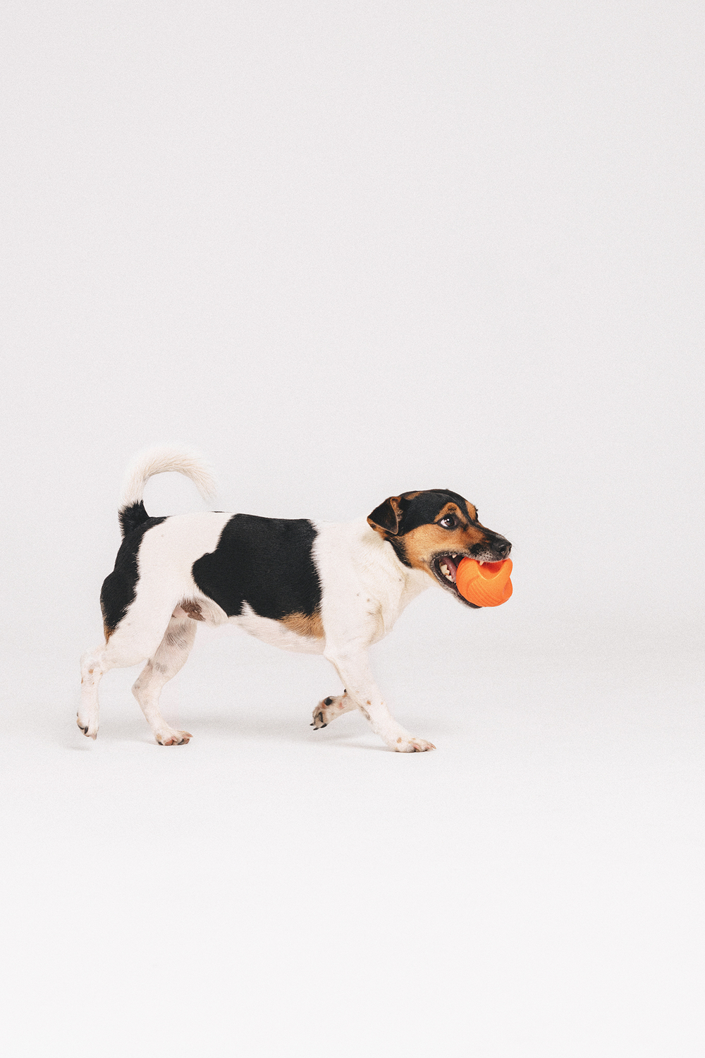 Мяч-гиря 7,7 см M-Pets