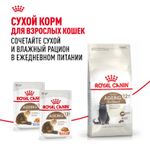 Royal Canin Ageing 12+ Эйджинг Корм влажный для взрослых кошек в возрасте старше 12 лет соус 85г