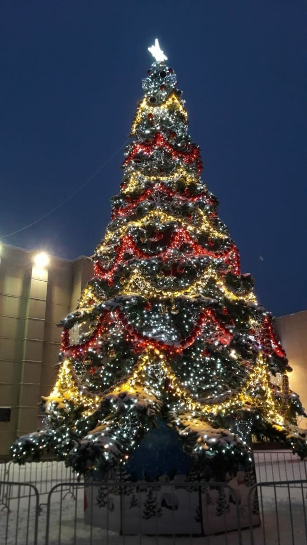 Светодинамическая елка ствольная - встроенная гирлянда: Холодный свет - "Таежная" от 11 до 21 м