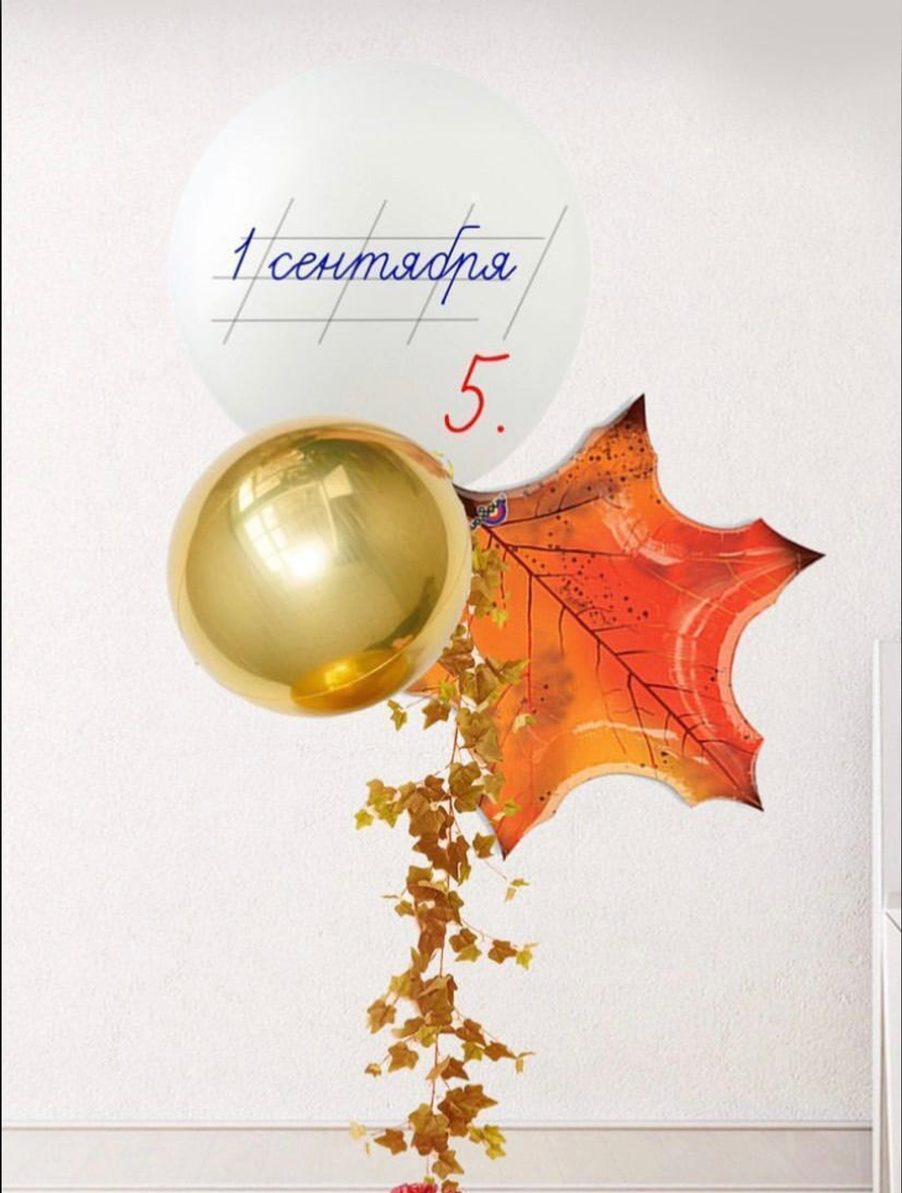 Сет из шаров на 1 сентября №9