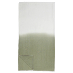 Шарф FABRETTI VF8-11