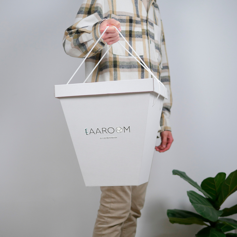 Готовый флорариум бонсай Кармона Айсберг с озером