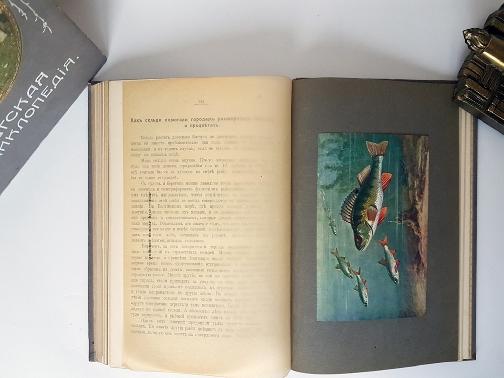 "Детская энциклопедия". . 1914г. - антикварное издание