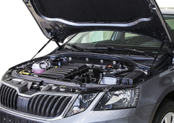 Упоры капота АвтоУпор для Skoda Octavia A7 2013-2020, 2 шт., USKOA7012