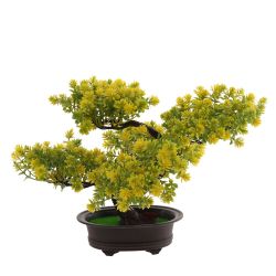 GAEM Цветочная композиция "Бонсай", L36 W32 H26 см