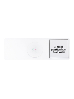 Набор микропрепаратов Levenhuk Discovery Prof DPS 5. «Жизнь в капле воды»