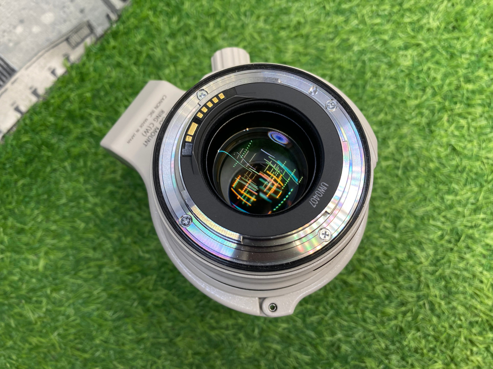 Canon EF 28-300mm 3.5-5.6L IS USM