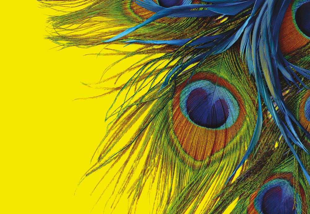 Коллекция Текстуры и фактуры