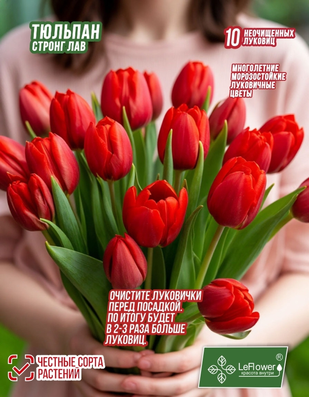 Тюльпан Луковица, Стронг Лав, 10шт