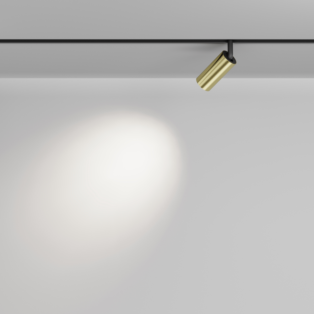 Магнитный трековый светильник Maytoni Focus LED TR032-4-5W3K-M-DS-BBS