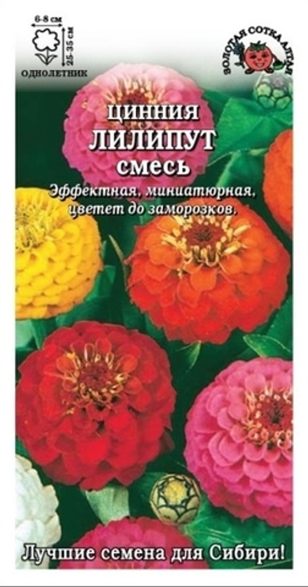 Цинния Лилипут см