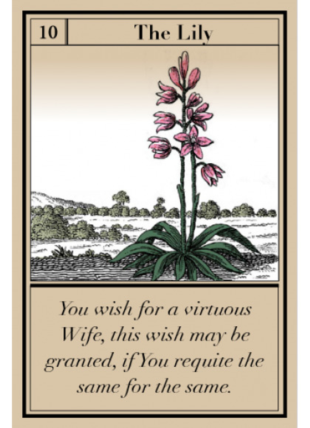 Оракул Кофейный / Coffee Oracle