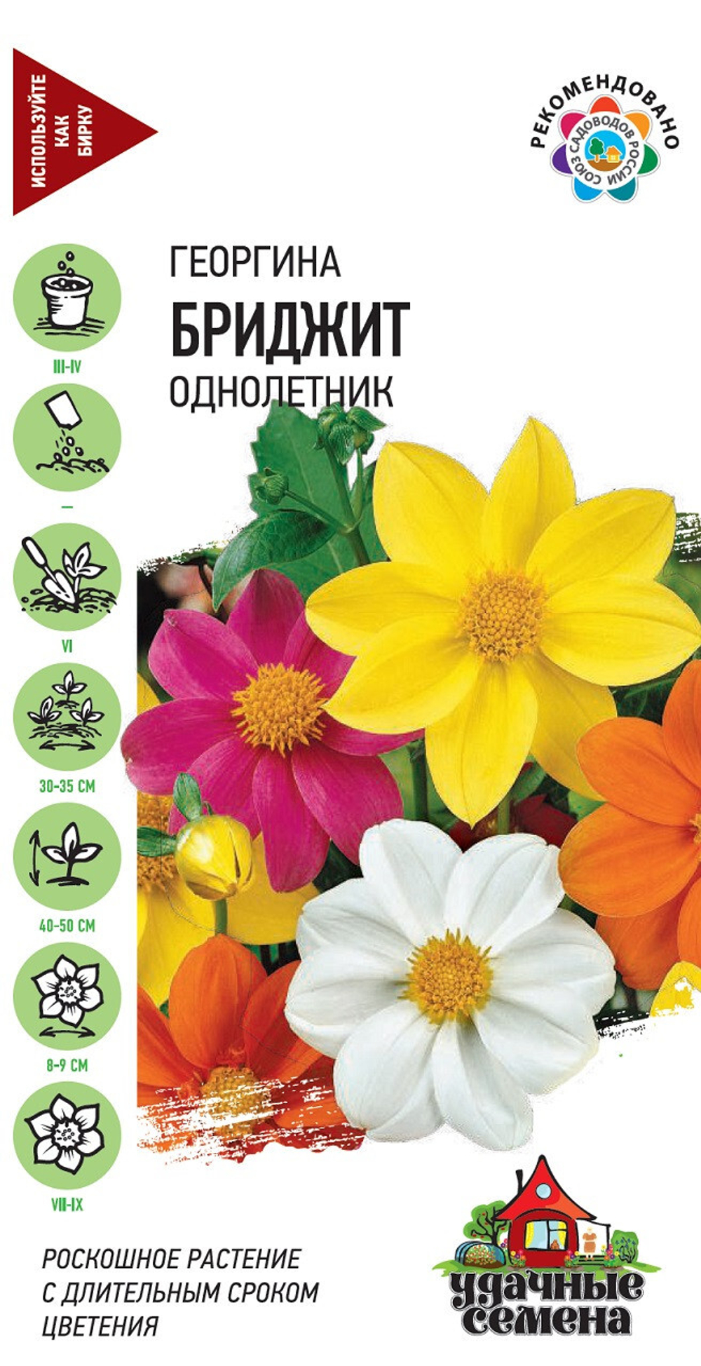 Георгина Бриджит