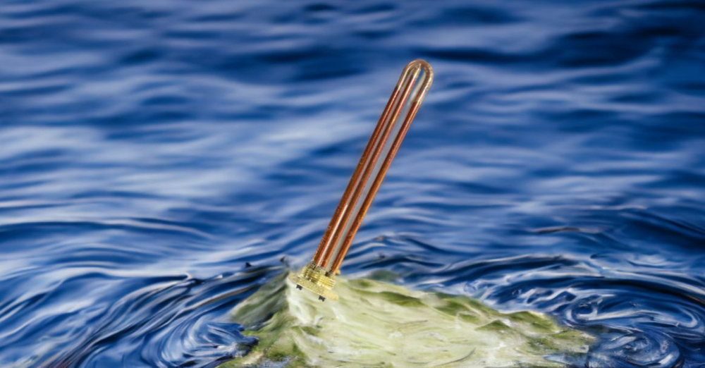 ТЭН для водонагревателя 1.5 кВт ( 1500W ) 220V RDT TW3 C 1 1/4 (42мм) L270мм медь