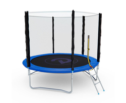 Батут с сеткой DFC PELPO 10ft с лестницей, BLUE