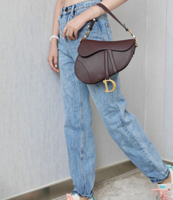 Christian Dior Saddle Bag 25 cm