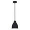 Подвесной светильник Arte Lamp Braccio A2054SP-1BK